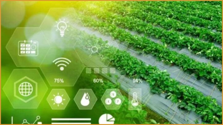 Biotech Crop Revolution