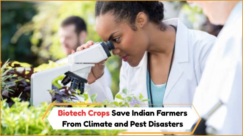 Biotech Crops