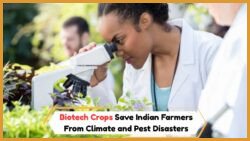 How Plant Biotechnology Is Revolutionizing Crop Resistance, Yield Improvement, and Climate Adaptation in Indian Farming Communities