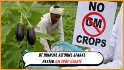 Bt Brinjal and the Future of Genetically Modified Crops in India: Scientific Analysis, Policy Battles, and Public Awareness Campaigns