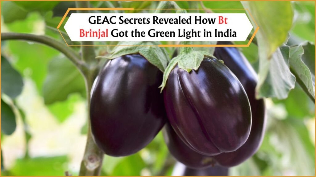GEAC India