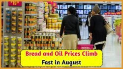August 2025 Shock: South Africans Face Steep Climb in Basic Food Prices