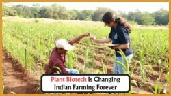 How Plant Biotechnology Is Revolutionizing Crop Resistance, Yield Improvement, and Climate Adaptation in Indian Farming Communities