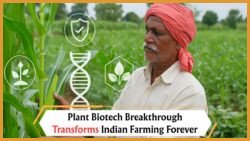 How Plant Biotechnology Is Revolutionizing Crop Resistance, Yield Improvement, and Climate Adaptation in Indian Farming Communities