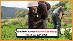 August 2025 Shock: South Africans Face 12% Surge in Food Costs, Spending Thousands More on Essentials