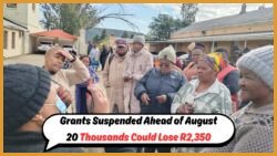 Urgent: 12,000 Social Grants Halted Before August 20 – Is Your R2,350 Monthly Support at Risk?