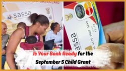 Child Grant Alert: Ensure Your Bank is Ready for the R560 Payment on September 5, 2025